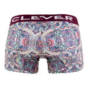 Clever Underwear Monument Boxer Briefs