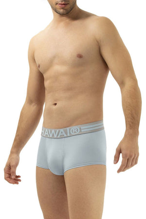 HAWAI Underwear Men's Briefs available at www.MensUnderwear.io - 4