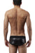Male Power Underwear Lazer Men's Bikini Brief